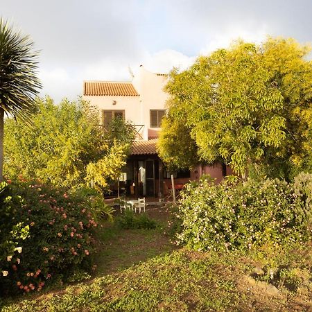 Home2Book Amazing Teide View & Terrace Sauzal Exterior foto